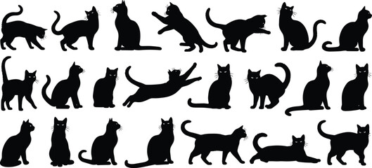 Cat silhouette set, various feline breeds collection, pet animal vector outlines, domestic kitten icons for veterinary and animal care graphic design projects © Jesmin
