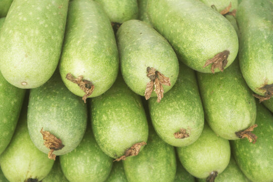 Many wax gourd or bitter melon vegetables close up as background	
