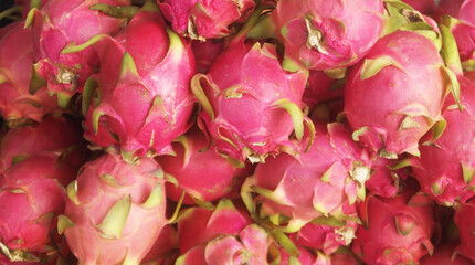 Many dragon fruits or pitaya close up	