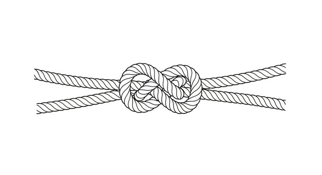 Detailed Illustration of a Bowline Knot.