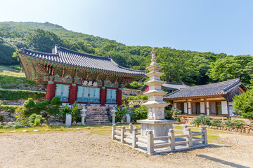 전남 고흥군 금탑사의 여름