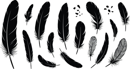 Set of detailed feather silhouettes isolated on white background for decorative vector design © MDBELAL