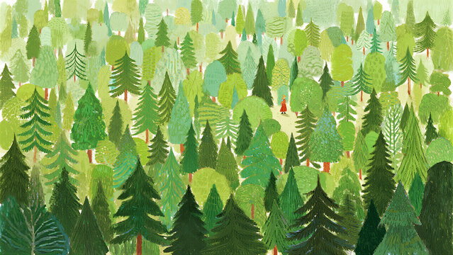 Green forest background, pine trees illustration and nature pattern