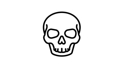 A simple illustration of a human skull