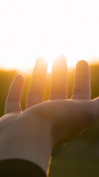 Hand reaching sunlight in serene nature. Person embraces warmth of golden hour. Vertical perspective captures peaceful moment of connection. Nature inspires calmness and tranquility.