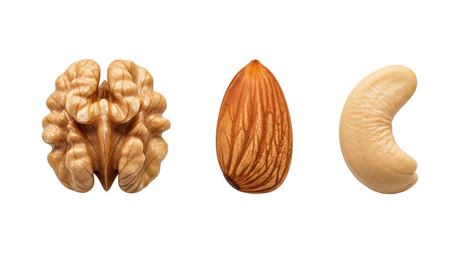 A walnut an almond and a cashew nut isolated on transparent background