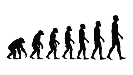 Evolution of humans from ape to modern man isolated on white background, Vector