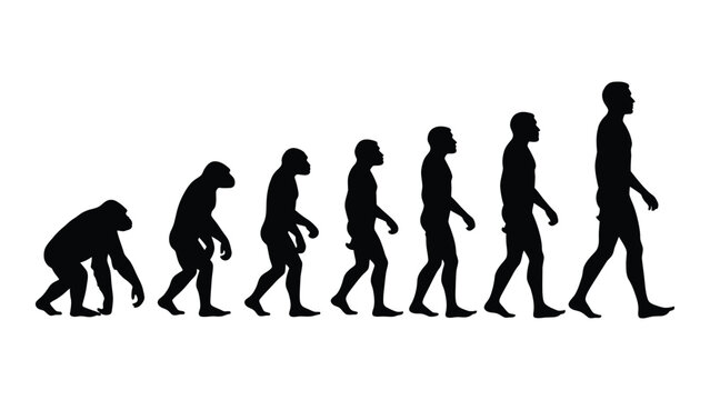 Evolution of humans from ape to modern man isolated on white background, Vector