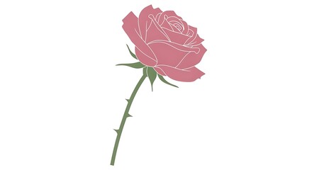 Stylized Pink Rose Illustration with Green Stem and Thorns