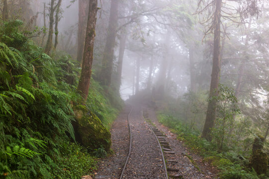 The misty Jianqing Ancient Trail in Yilan and the extended, abandoned railway tracks.