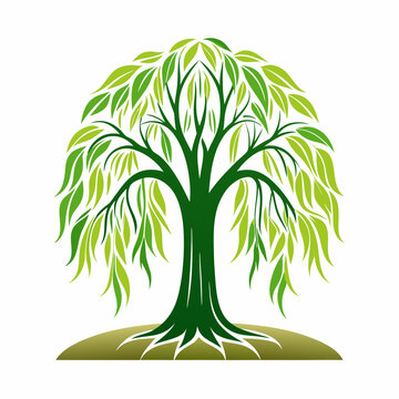 Vibrant green weeping willow tree logo illustration