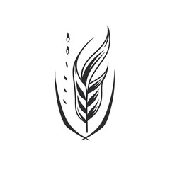 Obraz premium feather isolated on white background