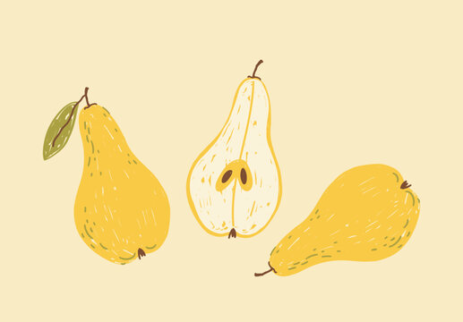 Fruit set of whole and halved pears on light yellow background; simple cute vector illustration, drawing, hand-drawn with brush strokes in flat style