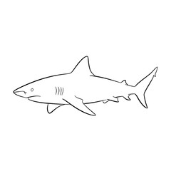 Obraz premium Black and white shark illustration drawing.