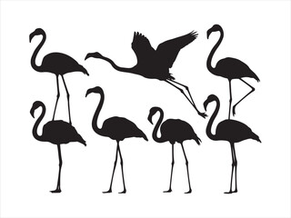 Naklejka premium Black silhouette flamingo set featuring various poses vector on white illustration. Black flamingo silhouettes set