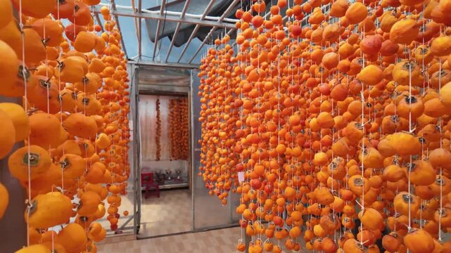 Dried persimmon "Hong Treo Gio" is a Da Lat specialty. They are hung on a rig in a closed house for a period of 25 days to produce a complete dried fruit