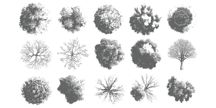 Set of architectural tree plan symbols for landscape design and site mapping in a hand-drawn sketchy vector illustration style