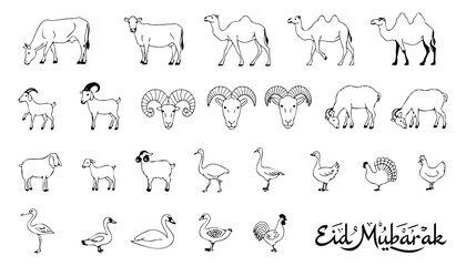 Elegant Eid Mubarak Islamic greeting card with decorative crescent moon and standing goat silhouette traditional Eid al Adha festival vector illustration with lantern and stars © Moriom Aktar Anisa