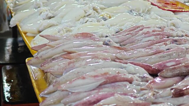 Raw squid in the market.