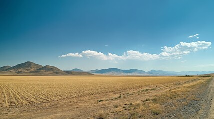 Fototapeta premium wide panoramic view showing transition from fertile farm field to dry desert wasteland, atmosphere filled with tension and contrast