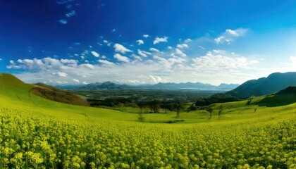 Fototapeta premium Lush green valley under a bright blue sky with scattered clouds.