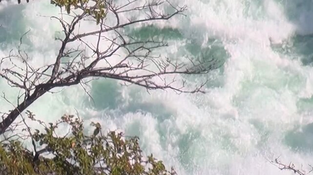 Turbulent, jade-colored water cascades forcefully through a rocky riverbed. The water flows within Los Alerces National Park in Argentina, surrounded by lush Patagonian foliage.