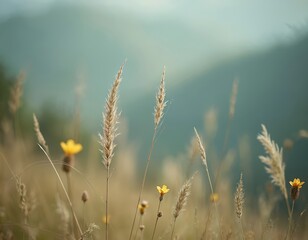 Soft focus macro shot of wild grass spikes and yellow flowers. Blurred background of misty mountains. Natural tranquil scene. Peaceful nature.