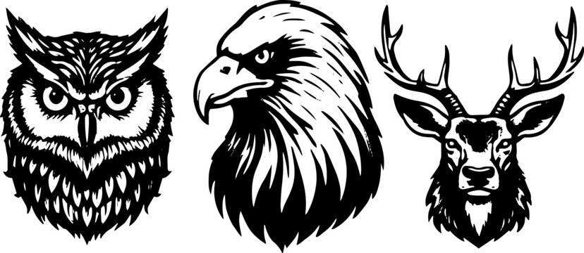 Black and white vector illustration set of owl, eagle, and deer head in detailed wildlife style, isolated animal silhouettes on light background.