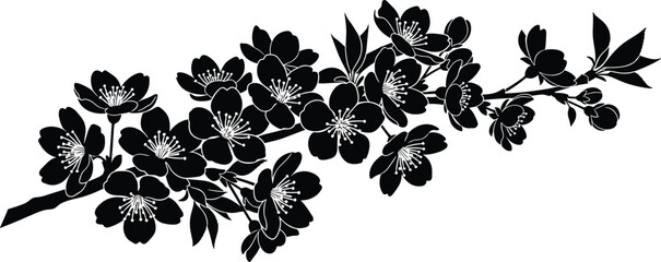 Cherry blossom branch silhouette vector illustration, black floral design element, elegant sakura flowers isolated on white background © Sree