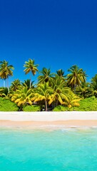 Obraz premium tropical beach with palm trees