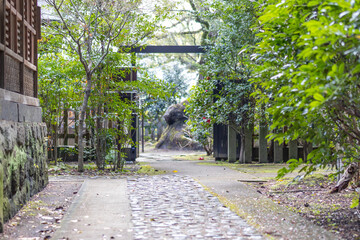 緑に囲まれた石畳の道