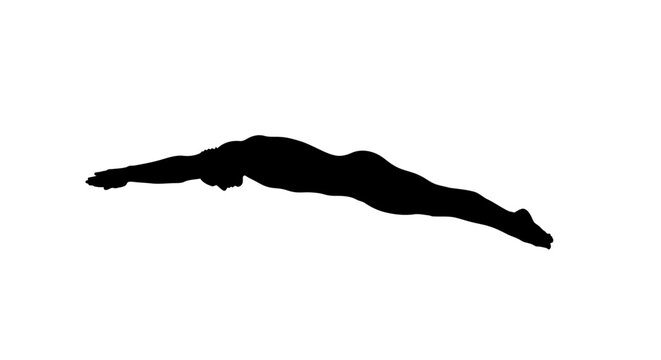 Person Diving into Water Silhouette Sport.