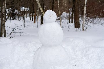 Snowman built in a snowy forest area, surrounded by trees covered in snow. The serene environment highlights a classic winter scene, capturing the essence of seasonal fun and creativity.