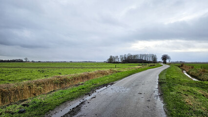 Naklejka premium Countryside road in Dutch farmland landscape on cloudy day in Netherlands.