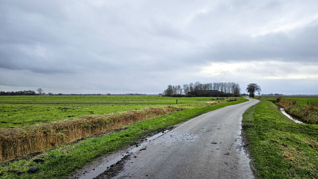 Countryside road in Dutch farmland landscape on cloudy day in Netherlands.