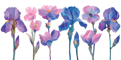 Beautiful watercolor iris and pink flowers collection on white background botanical vector illustration for elegant wedding and greeting card design © GraphixEra