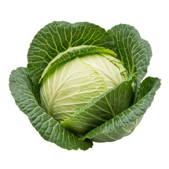 Obraz premium A vibrant green cabbage with tightly packed leaves and a fresh appearance isolated on transparent background