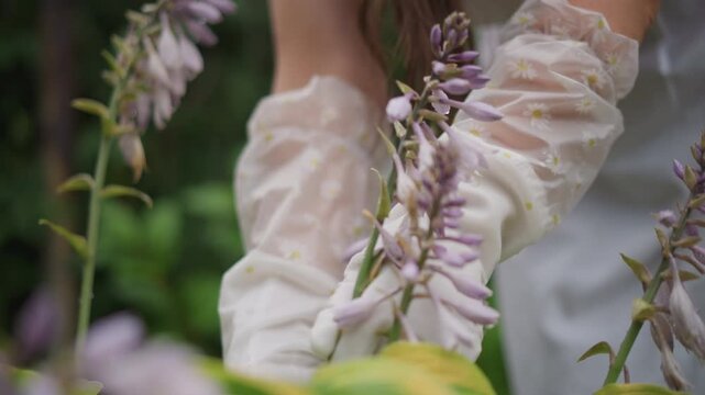 Gloved hands snipping hosta blossoms closeup, pale lavender spikes, delicate scissors, shallow depth of field, precise clipping motion, lace gloves and focused gardening ritual in leafy border