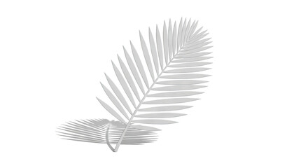 Fototapeta premium Monochromatic Palm Frond with Shadow