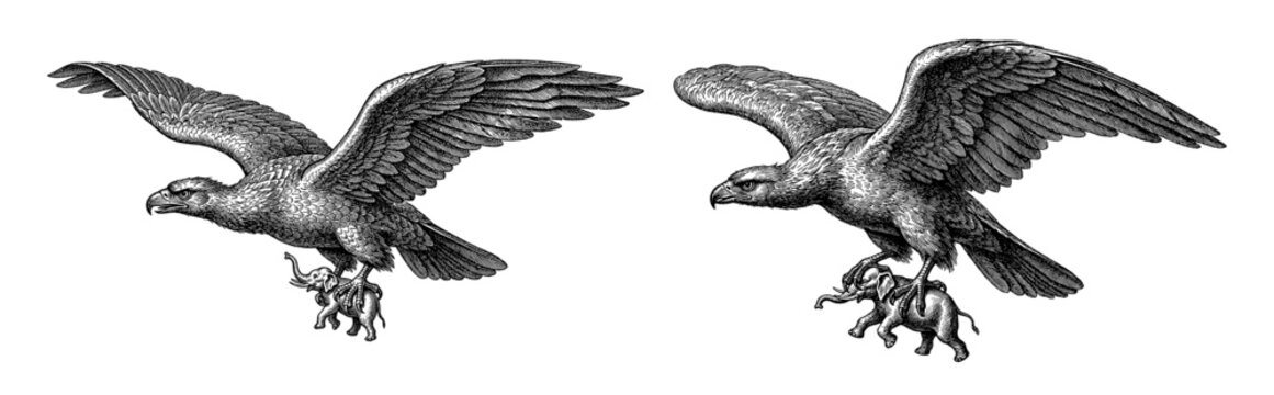 Mythological Roc bird carrying elephant in engraving style