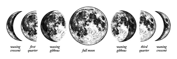 Obraz premium Moon phases diagram set in vintage engraving style