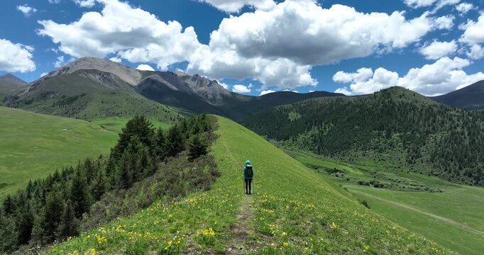 Aerial footage of woman backpacking in the beautiful flowering grassland and forest mountains, slow motion