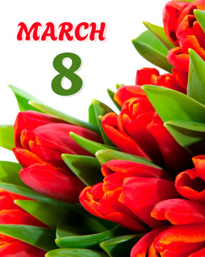 postcard with tulips for March 8
