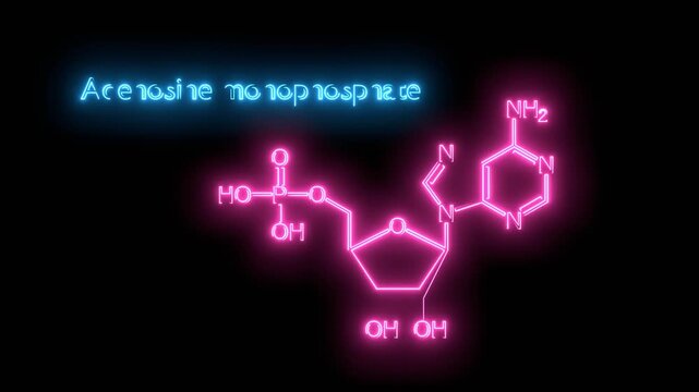 Adenosine monophosphate or AMP, adenylic acid molecule. Nucleotide monomer of RNA. Composed of phosphate, ribose and adenine moieties. Skeletal formula. Neon glowing.