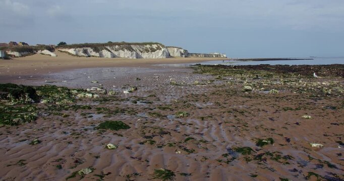 Extra wide shot looking west up Botany Bay Beach of the chalk stacks and cliffs at low tide. At marine Drive, Broadstairs