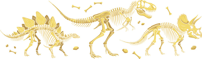Illustration of Dinosaur Skeletons Including T-Rex, Stegosaurus, and Triceratops © Rafika