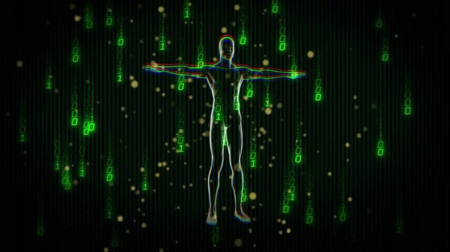 On playback start, humanoid outline rotating with chromatic fringe pulsing, shifting binary focus