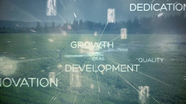 Type net starting with glowing nodes, rising and orbiting, showing growth and innovation over field