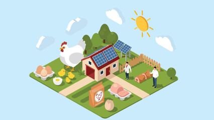 Isometric view of a sustainable chicken farm with solar panels on a house, hens, chicks, eggs, and farmers working in a field.