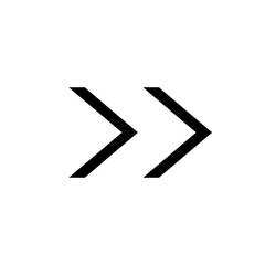 Double Arrow Direction Navigation Icon